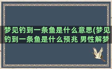 梦见钓到一条鱼是什么意思(梦见钓到一条鱼是什么预兆 男性解梦)